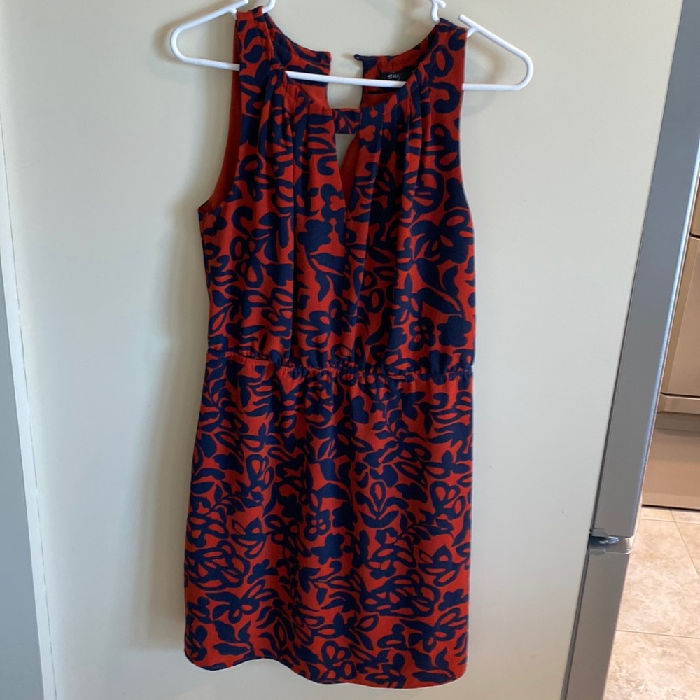 41 Hawthorn Dress EUC